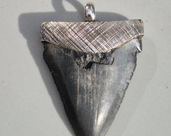 Fossil Megalodon Tooth Pendant – dark grey, 925 silver setting, found in South Carolina, unique piece – Tribal Spirit by Schmuckrausch 1889