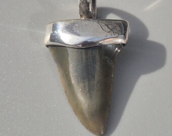 Small shark tooth pendant Mako Fossil South Carolina silver 925 gray Tribal Spirit jewelry rush Vintage 1914