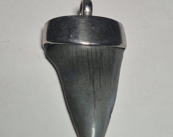 Mako shark Isurus Hastalis fossilized shark tooth 925 sterling silver E8