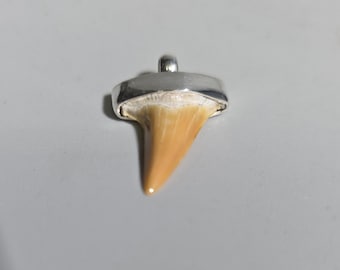 Fossil Mako Shark Tooth Pendant 925 Silver Bakersfield California