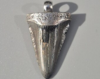 Baby Megalodon Tooth Pendant – Silver 925, Fossil Shark Tooth South Carolina, 43 mm, 10.18 g – Tribal Spirit Jewelry Rush Vintage 1968