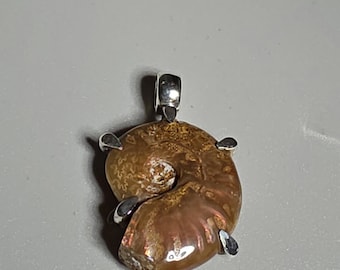 Cleoniceras Ammonite Pendant 925 Silver Madagascar iridescent ammonite fossil pendant Schmuckrausch Vintage 1652