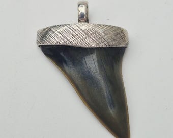 Masculine shark tooth pendant Mako shark • textured 925 silver • South Carolina fossil • Tribal spirit • Shark Tooth Fossil (1431)