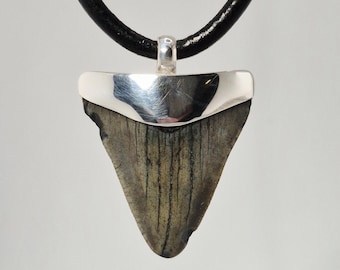 Megalodon shark tooth pendant fossil South Carolina silver 925 leather cord – Schmuckrausch Vintage 0045