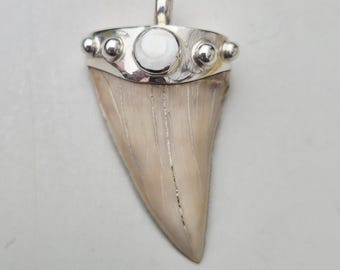 Otodus obliquus pendant with Shiva eye • Fossil shark tooth • Silver 925 • Morocco • Tribal spirit • approx. 60 million years • 1491