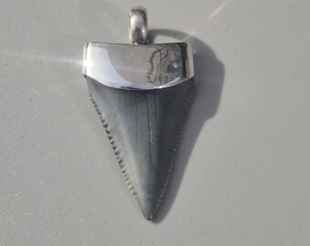 Great White Shark Tooth Pendant – Silver 925, fossil Carcharodon carcharias, South Carolina, 37 mm Tribal Spirit Jewelry Rush Vintage 1937