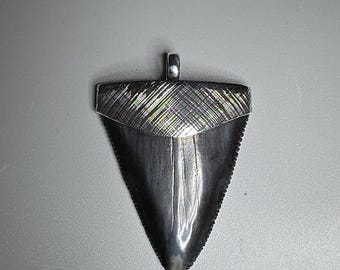 Great White Shark Tooth Pendant, 925 Silver, Fossil, USA, Jewelry Rush, Vintage 1750