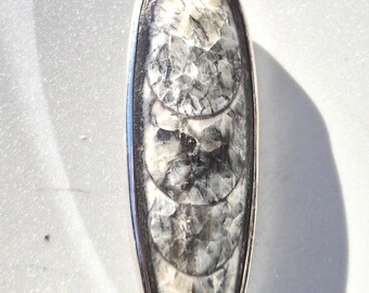 Orthoceras pendant – fossil cephalopod from Morocco, 925 silver, black-grey, hand-set – Schmuckrausch Vintage 0030