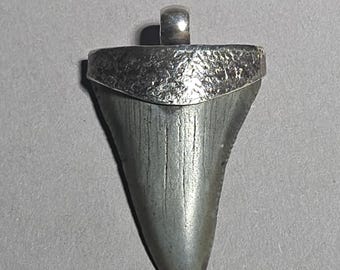 Baby Megalodon Shark Tooth Pendant South Carolina 925 Silver Hammered Finish Fossil Jewelry 0615