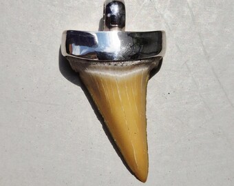 Fossil shark tooth pendant Mako • Bone Valley Florida • 925 silver • Sand-colored • Unique • 1599