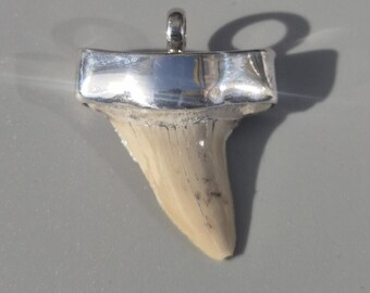 Otodus obliquus tooth pendant – Silver 925 Tribal Spirit, Morocco fossil, light beige, 46 mm, wide shape – Schmuckrausch Vintage 1877