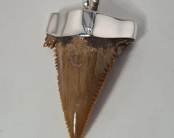 Fossil shark tooth pendant Palaeocarcharodon orientalis, dark colored, set in 925 silver, Tribal Spirit Schmuckrausch Vintage 1951