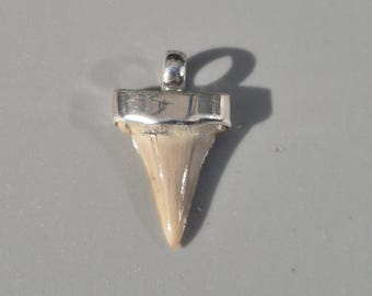 Small Otodus obliquus tooth – Silver 925 Tribal Spirit, Morocco Fossil, 25 mm, 2.2 g, symmetrical – Schmuckrausch Vintage