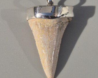 Otodus obliquus tooth pendant – 925 silver Tribal Spirit, Morocco fossil, sand-colored, 46 mm, 12.75 g – Schmuckrausch Vintage 1866