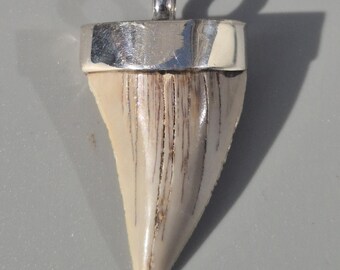 Otodus obliquus tooth pendant – 925 silver Tribal Spirit, Morocco fossil, sand-colored, 44 mm, 10.47 g – Schmuckrausch Vintage 1874