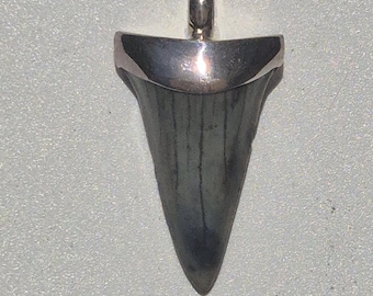 Shark tooth pendant silver 37 mm Mako shark Isurus hastalis fossil South Carolina gray tones Tribal Spirit 925 hallmarked unique jewelry (1409)