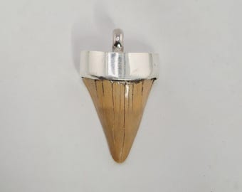 Fossilized shark tooth pendant, 925 silver, Otodus obliquus, Morocco, phosphate mine, Schmuckrausch, vintage, unique, collector's item, 0819