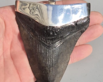 Giant Megalodon Tooth Pendant Silver 925 Tribal Spirit | 147 g Fossil Shark Tooth South Carolina | Unique Vintage Jewelry Rush 1237