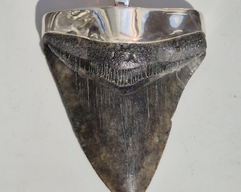 Giant Megalodon Tooth Pendant Silver 925 Tribal Spirit | 147 g Fossil Shark Tooth South Carolina | Unique Vintage Jewelry Rush 1237