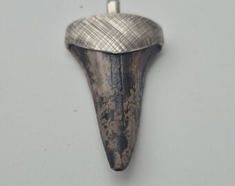 Slim Mako shark tooth pendant • South Carolina fossil • 925 silver, ribbed • brown spotted • Shark tooth unique (1432)