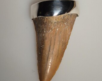 Fossil shark tooth pendant – Otodus obliquus – rare orange-red – Morocco – approx. 60 million years old – 925 silver – Tribal Spirit – unique piece 1712