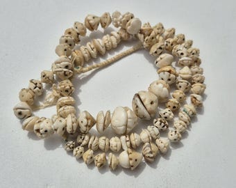 Antique necklace with 170 carved shell beads – Cone shell | Berber hair ornament | North Africa | 8–19 mm | Soft patina (1372)
