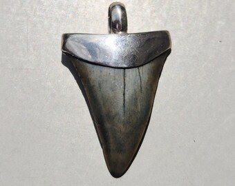 Fossil shark tooth pendant • Mako • Silver 925 • Tribal Spirit • South Carolina • 34.69 mm I 1579