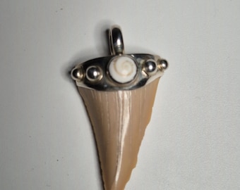 Tribal Spirit Pendant – Fossil Shark Tooth Otodus obliquus & Shiva Eye in 925 Silver | Fossil Amulet Morocco, approx. 60 million years old (G7)