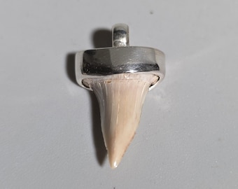 Fossil Mako Shark Tooth Pendant 925 Sterling Silver Bakersfield California Vintage Jewelry I SR1964