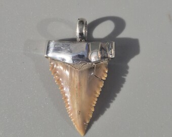 Prehistoric Great White Shark Pendant – Silver 925, Palaeocarcharodon orientalis, Morocco, 36 mm, 5.4 g – Tribal Spirit Jewelry Rush Vintage 1967
