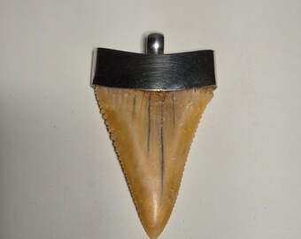 Pendant Silver 925 Carcharodon carcharias Great White Shark Chile Atacama Desert Unique