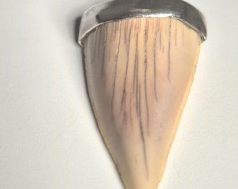 Shark tooth pendant silver 925 – Tribal spirit design with Otodus obliquus tooth, approx. 60 million years old