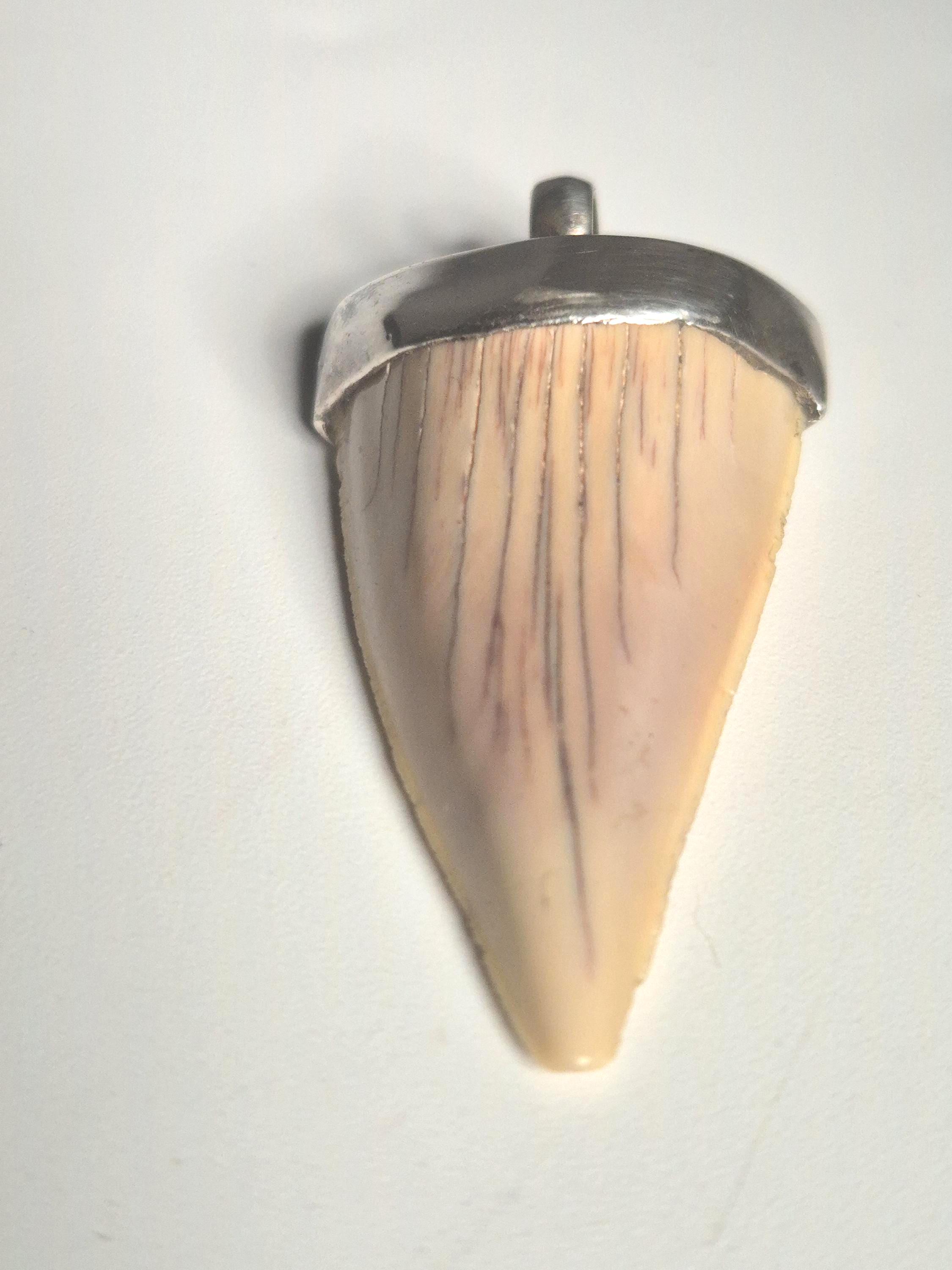 サメの歯ペンダント シルバー925 – 約6000万年前のオトドゥス・オブリクウスの歯をモチーフにした部族のスピリットデザイン
