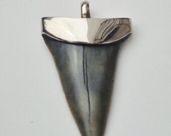 Large fossilized Mako shark tooth • South Carolina • 925 silver Tribal Spirit • Shark tooth pendant light • Shark Tooth Fossil (1430)