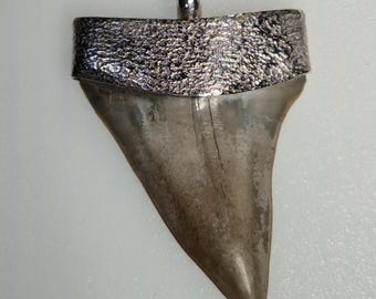 Fossil Mako Shark Tooth – Pendant Silver 925 – Tribal Spirit – South Carolina – Hammered Setting – 48mm – Unique 1738