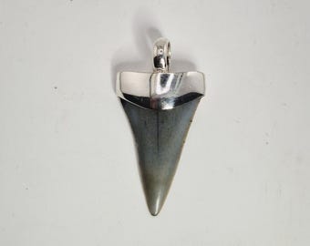 Fossil Mako Tooth Pendant USA 925 Silver Tribal Spirit Jewelry Rush Vintage 0182