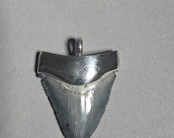 Megalodon Shark Tooth Pendant 925 Silver Bone Valley Florida Tribal Spirit Fossil Jewelry 0933