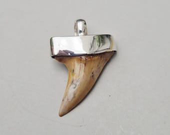 Small fossil shark tooth pendant • Hooked Mako Isurus • South Carolina • 925 silver • Tribal Spirit • Fossil jewelry unique I 1495