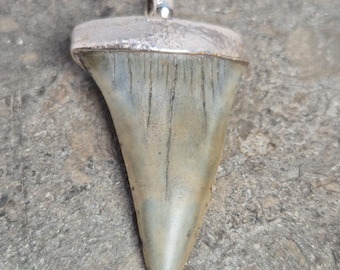 Fossil Mako Tooth Pendant USA 925 Silver Tribal Spirit Jewelry Rush Vintage 1482