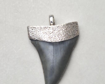 Large shark tooth pendant Mako shark • Fossil • South Carolina • 925 silver • Hammered • 48mm I 1539