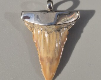 Palaeocarcharodon orientalis pendant – Fossil shark tooth Morocco, silver 925, 42 mm, 7.22 g, sharp & rare – Schmuckrausch Vintage