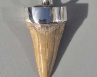 Otodus obliquus tooth pendant – Silver 925 Tribal Spirit, Morocco Fossil, 39 mm, 6.91 g – Schmuckrausch Vintage