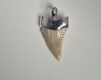 Fossil shark tooth pendant Palaeocarcharodon orientalis Morocco 925 silver Tribal Spirit Schmuckrausch Vintage 0308