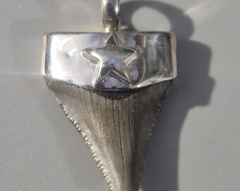 Baby Megalodon Tooth Pendant – Silver 925 Shark Tooth South Carolina, light gray, 38 mm, 8.35 g – Tribal Spirit Jewelry Rush Vintage 1966