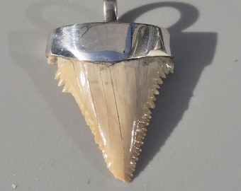 Prehistoric Great White Shark Pendant (Palaeocarcharodon orientalis) – Shark Tooth Morocco, Silver 925, 38 mm, 7.71 g – Schmuckrausch Vintage 1923