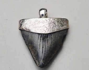 Baby Megalodon Shark Tooth Pendant Silver 925 • Fossil Tooth South Carolina • Tribal Spirit • Petrified Shark Tooth I 1487