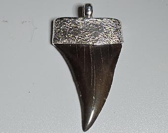 Fossil Mako Shark Tooth Pendant 925 Silver Peace River Florida Shark Tooth Pendant Diver Jewelry Rush Vintage 0067