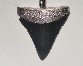Pendant Silver 925 Carcharodon carcharias Great White Shark USA Unique H7