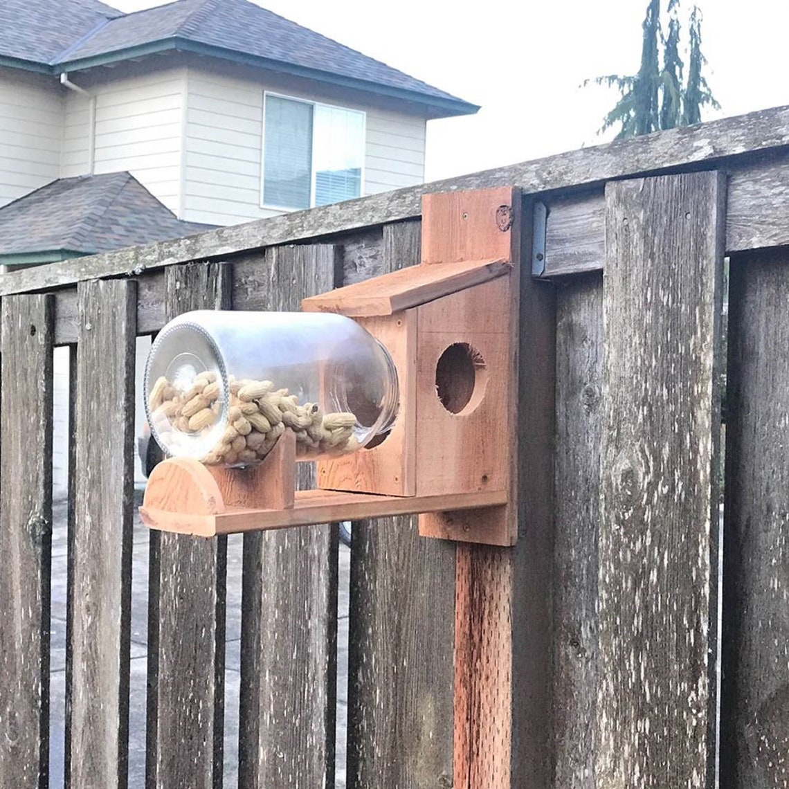 Cedar Squirrel Feeder with One Gallon Glass jar Etsy