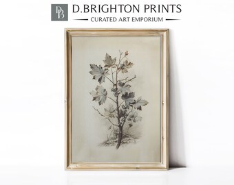 ヴィンテージの枝のスケッチ | 植物画 印刷可能なデジタルアンティークプリント | 農家のキッチンアートプリント | ニュートラルな素朴なアートフラワードローイング